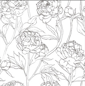 黑白花