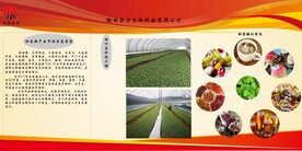 展板设计 