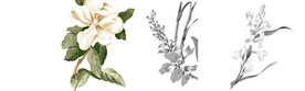 鲜花