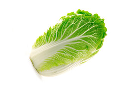 大白菜 