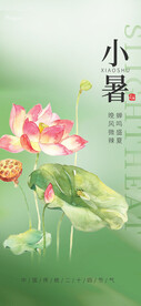 荷花小暑海报