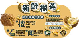 榴莲水果