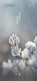 大雪节气微信