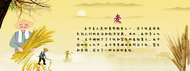 麦子画报