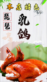 琵琶乳鸽