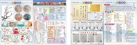 校报