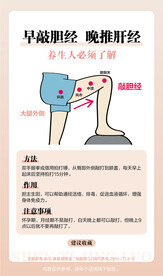 养生肝经经络