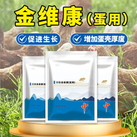畜牧养殖鸡 蛋用商主图