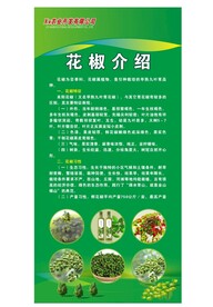 花椒