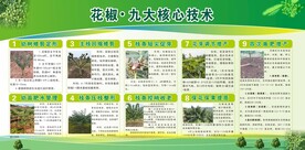 花椒
