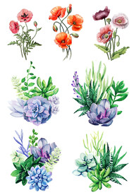 花草