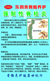 乐利来强制性脊柱炎骨络养护