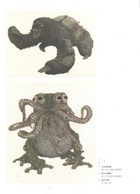 线的魔力