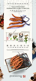 冬虫夏草展架