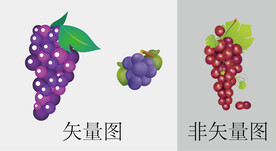 葡萄矢量图