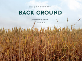 麦子麦田广告设计