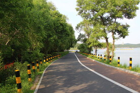 森林公路