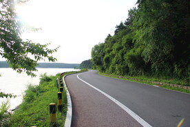 森林公路