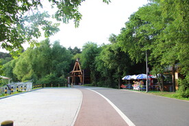 森林公路