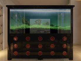 鱼缸