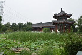 荷花园