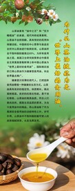 茶油