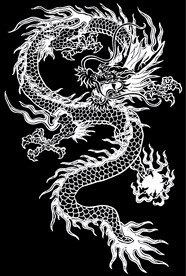生肖龙素材