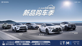 新品购车季