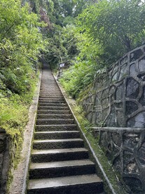 步梯