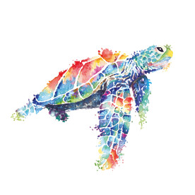 海龟画水彩矢量插画素材海洋生物