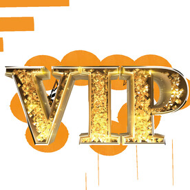 VIP会员
