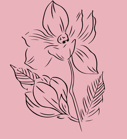 花朵线稿