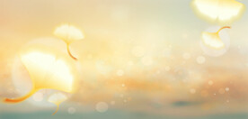 弥散风光效秋天背景