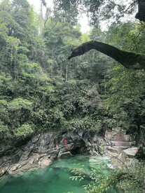 清澈见底的山涧