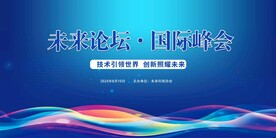 国际峰会