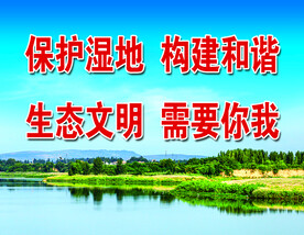 保护湿地 构建和谐