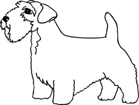 手绘狗狗   