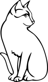 卡通手绘猫   