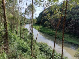 河边风光