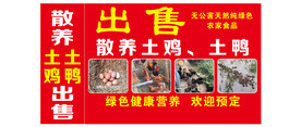 出售土鸡土鸭