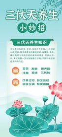 三伏天