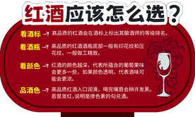 红酒小知识