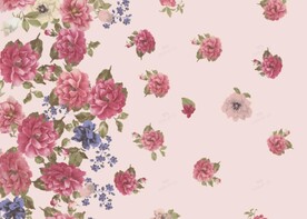 裙子数码印花