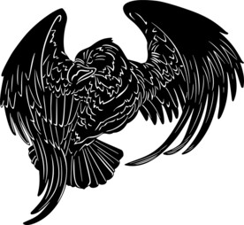 手绘鸟类插画     