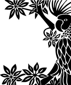 手绘鸟类插画      