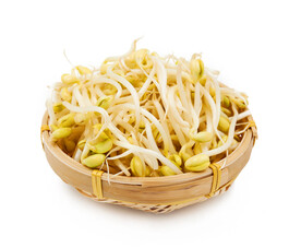 豆芽