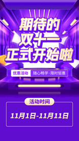 期待的双十一正式开始啦 海报 