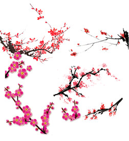 梅花素材