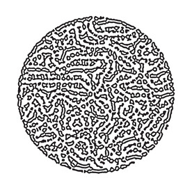 纤维