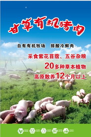有机猪肉产品广告